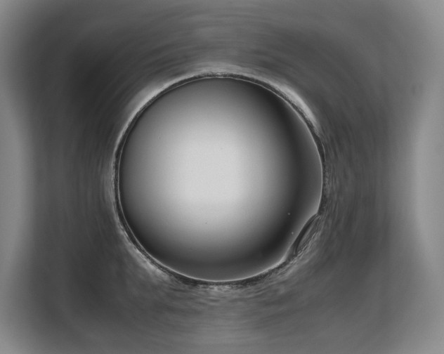 X0000108480903200904031427
