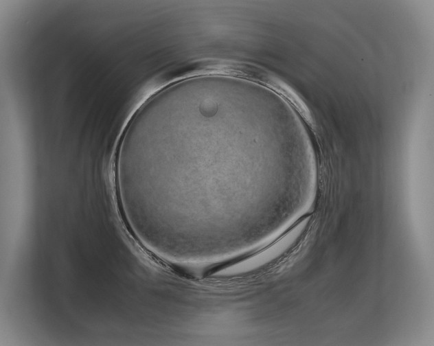 X0000108480907200904031427