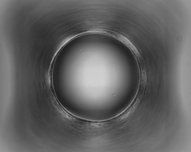 X0000108480908200904031427