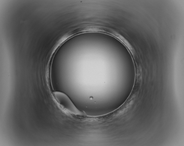 X0000108480909200904031427