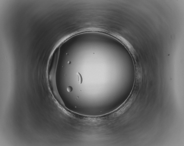 X0000108480910200904031427