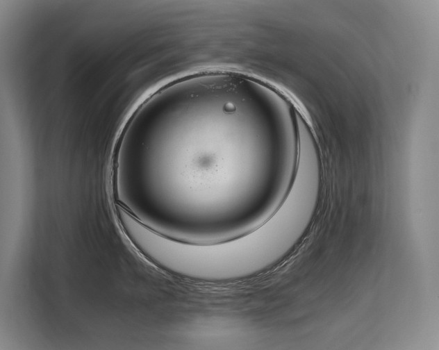 X0000108480911200904031427