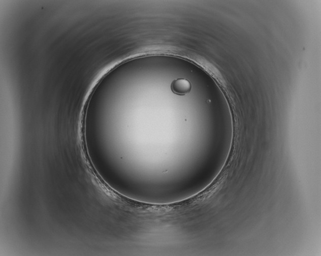 X0000108480912200904031427