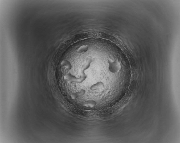 X0000108480913200904031426