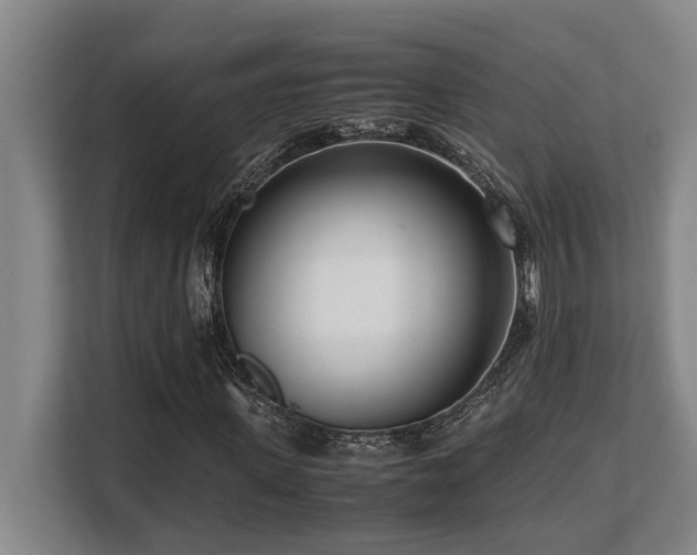 X0000108480915200904031426