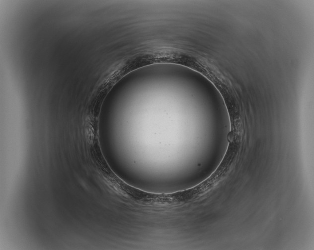 X0000108480916200904031426