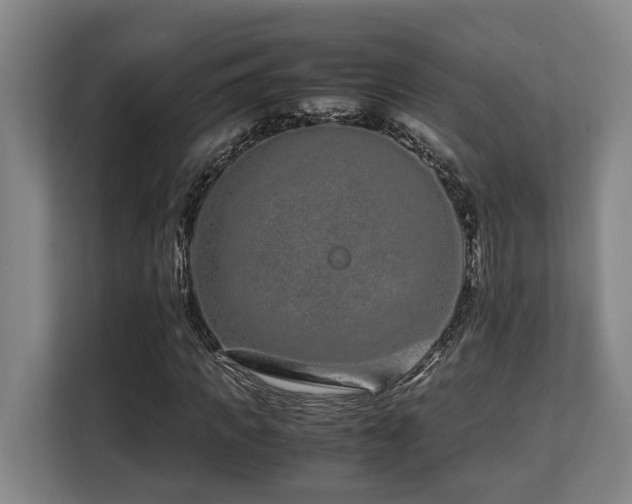 X0000108480917200904031426