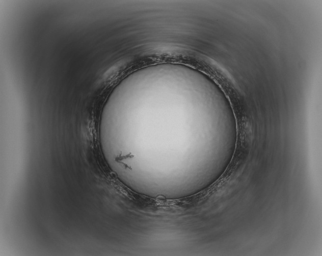 X0000108480918200904031426