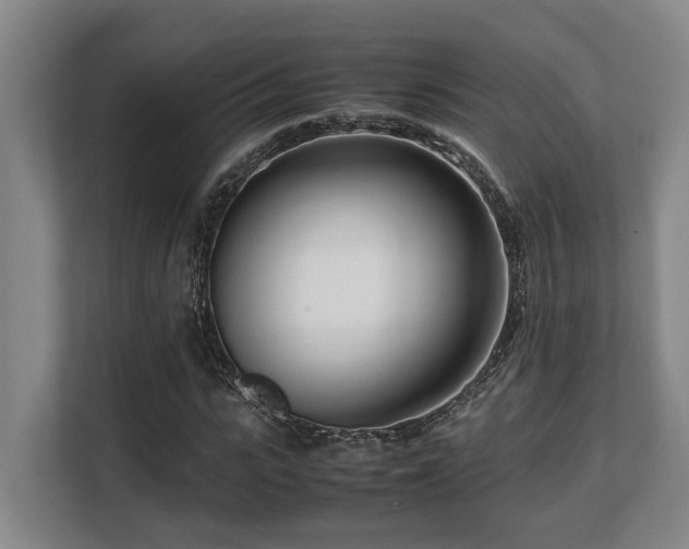 X0000108480919200904031426