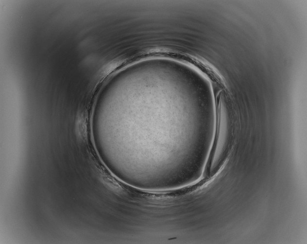 X0000108480921200904031426