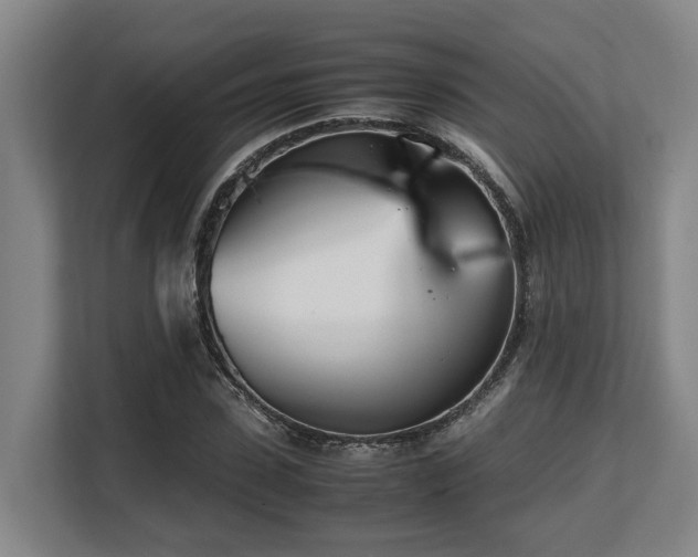 X0000108480923200904031426