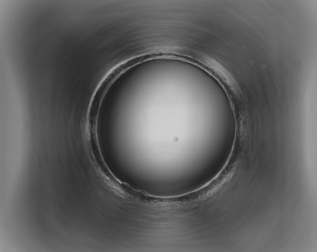 X0000108480924200904031426