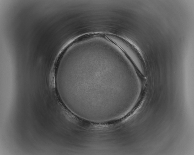 X0000108480925200904031426