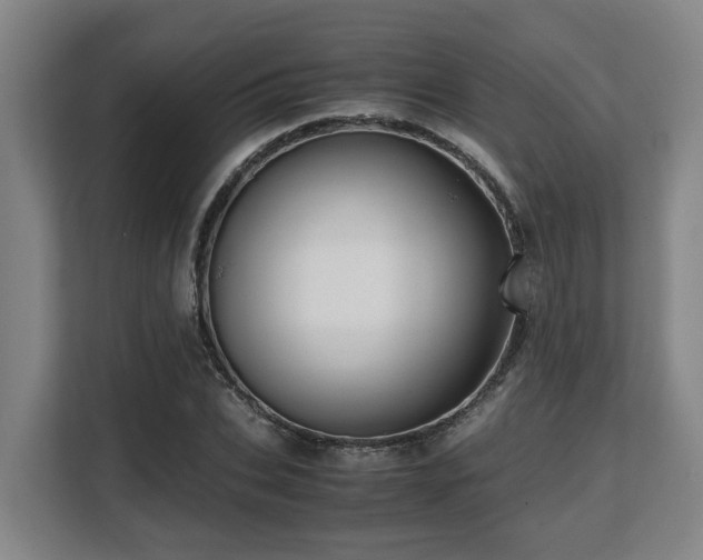 X0000108480927200904031426