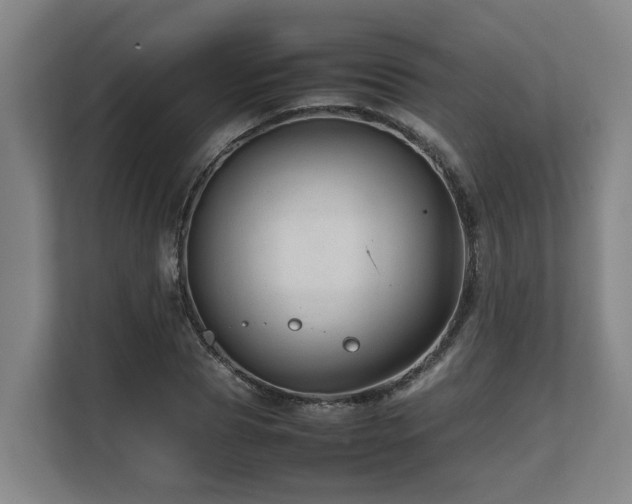 X0000108480929200904031426