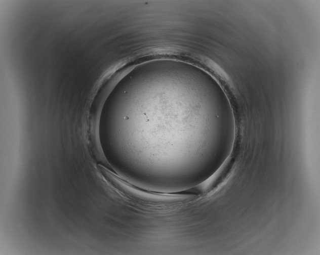 X0000108480930200904031426