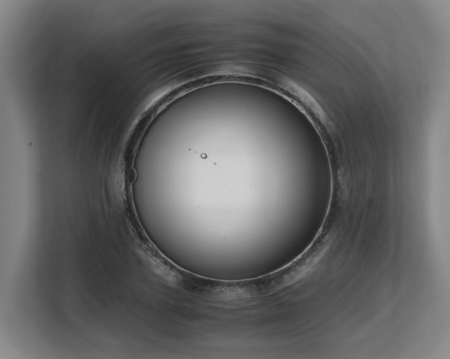 X0000108480931200904031426