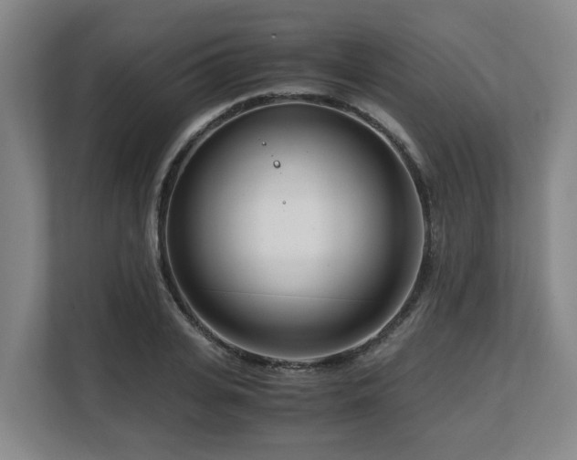 X0000108480935200904031427