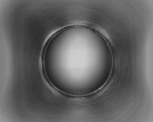 X0000108480936200904031427
