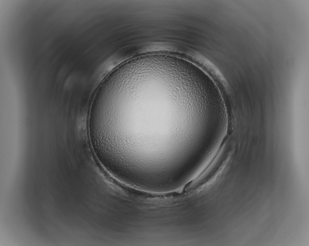 X0000108480937200904031427