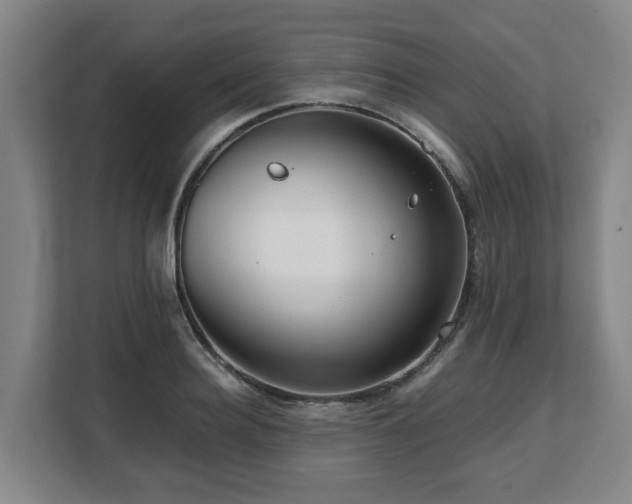 X0000108480940200904031427