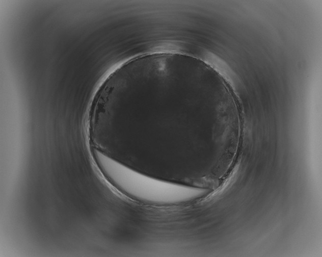 X0000108480941200904031427