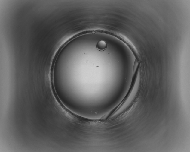 X0000108480943200904031427