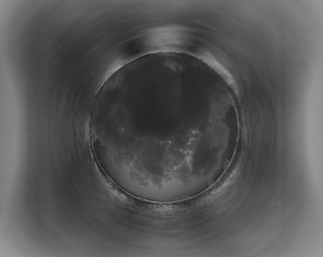 X0000108480945200904031427