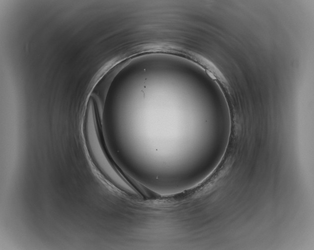 X0000108480946200904031427