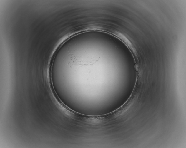 X0000108480947200904031427