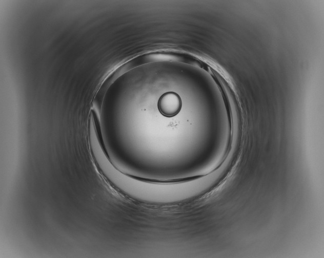 X0000108480953200904031427