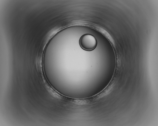 X0000108480954200904031427