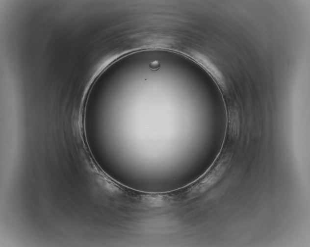 X0000108480956200904031427