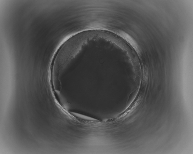 X0000108480958200904031427