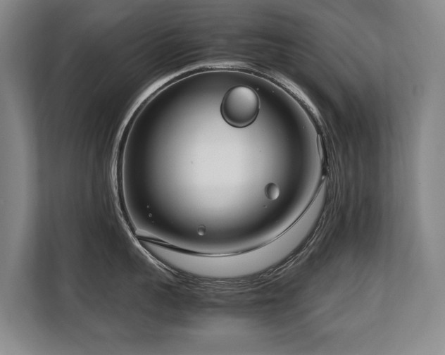 X0000108480959200904031427