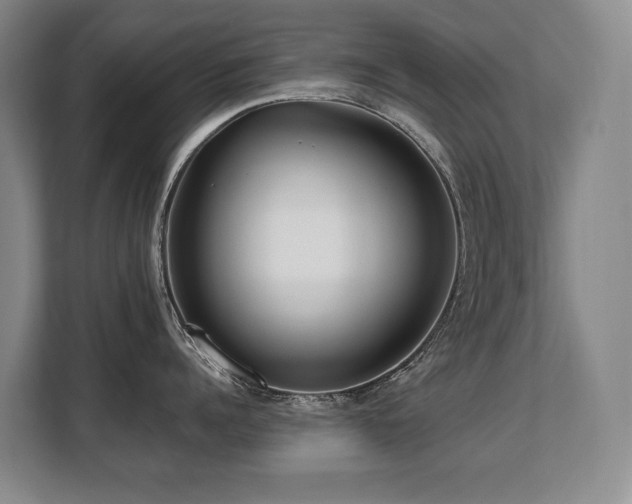 X0000108480960200904031427