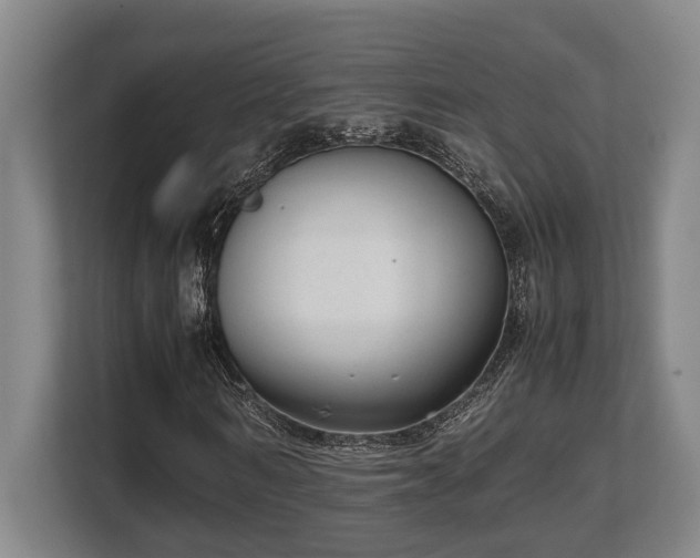 X0000108480962200904031426