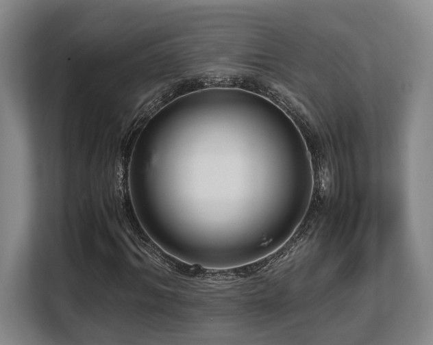 X0000108480964200904031426