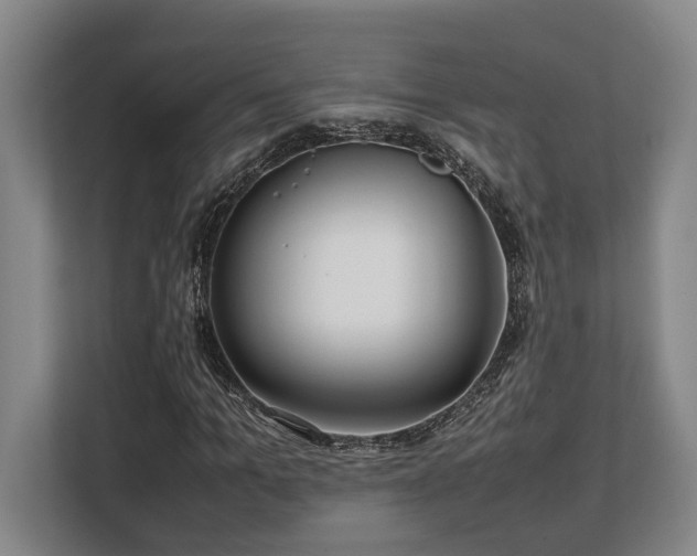 X0000108480965200904031426