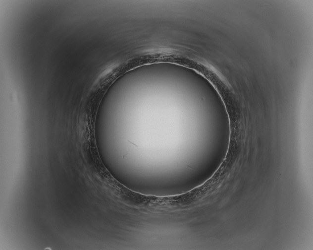 X0000108480967200904031426