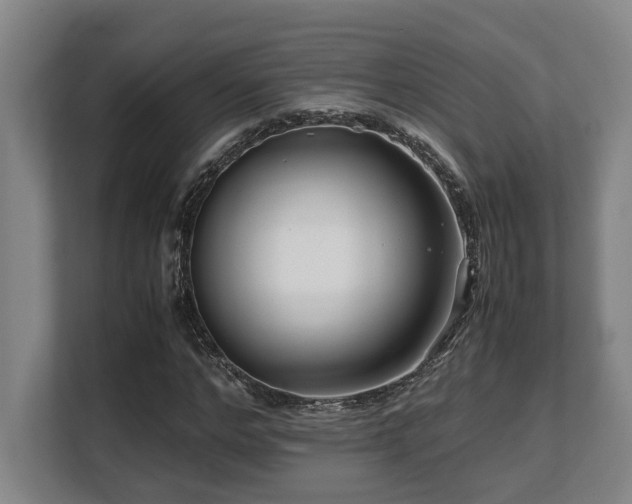 X0000108480968200904031426
