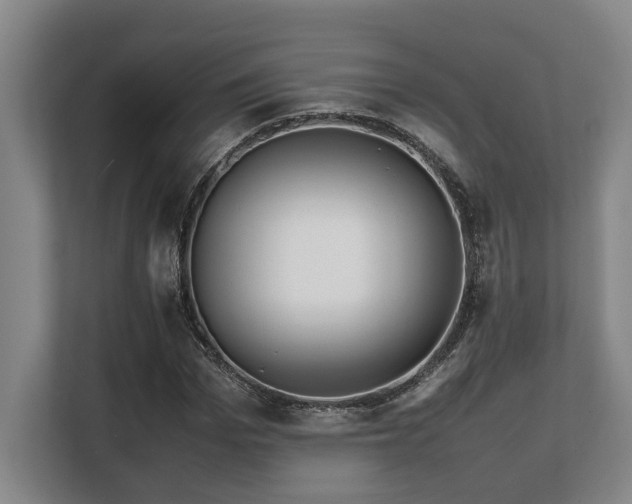 X0000108480969200904031426