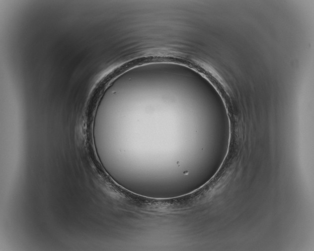 X0000108480971200904031426