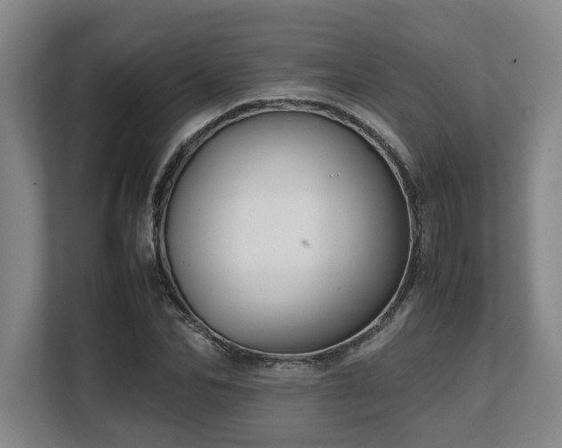 X0000108480974200904031426
