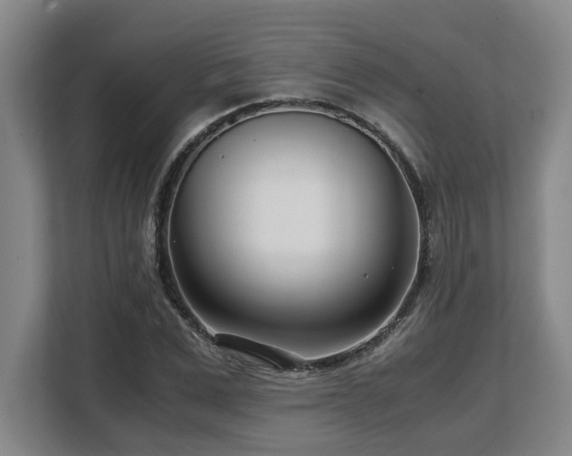 X0000108480975200904031426