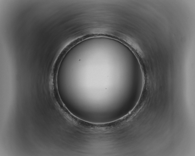 X0000108480976200904031426