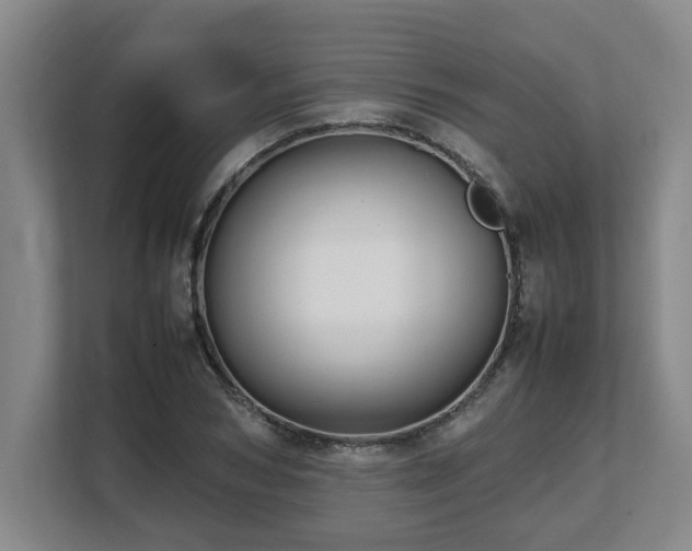X0000108480978200904031426