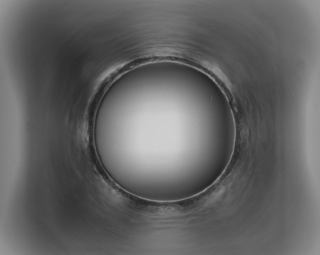 X0000108480979200904031426