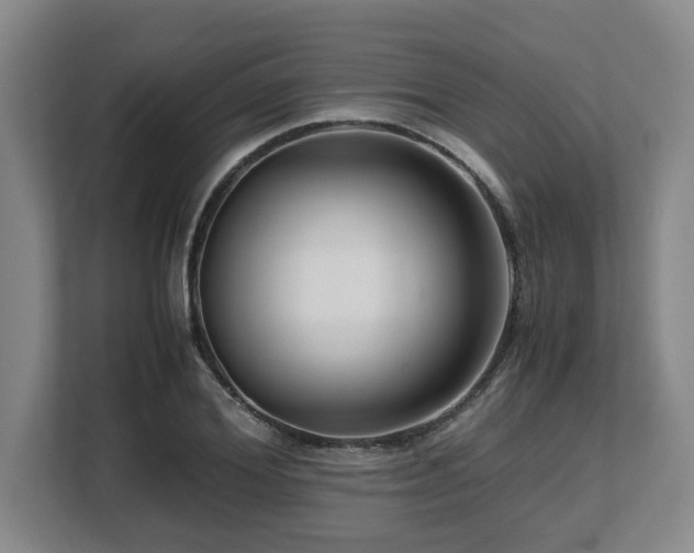 X0000108480980200904031426