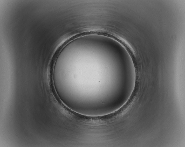X0000108480983200904031426